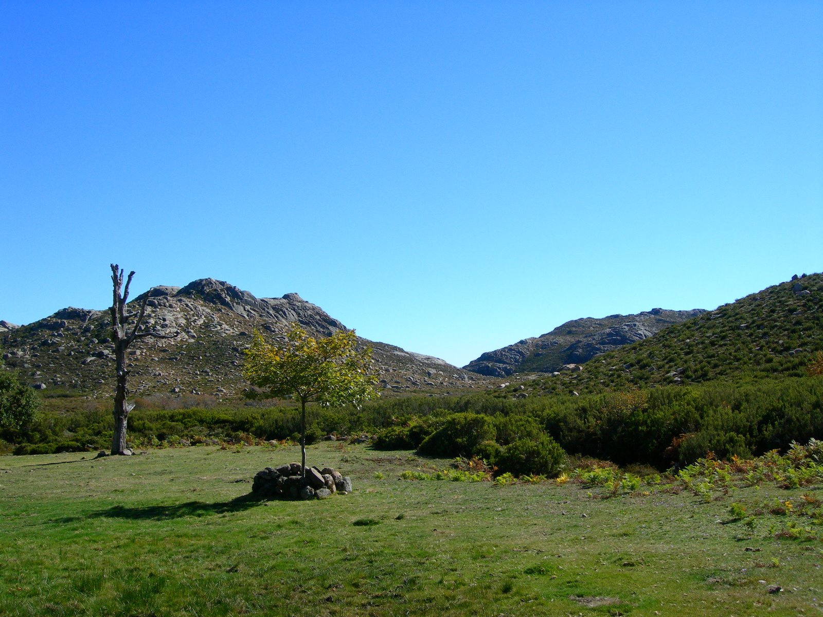 [DSCN3983.JPG]