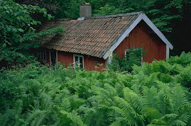 Rumah Perhutani