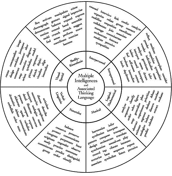 Discovery Wheel Multiple Intelligences Essay Term Paper Example Discovery Wheel Multiple Intelligences Essay Describe Team Members Results On The Discovery Wheel And