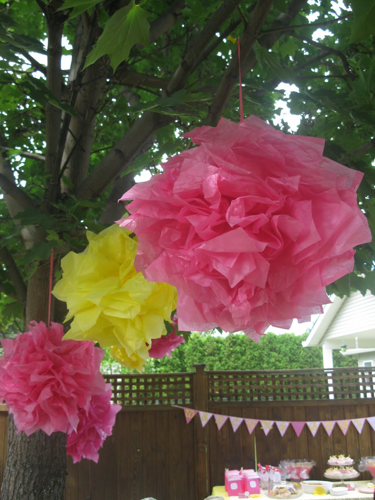 Dragonfly Baby Shower