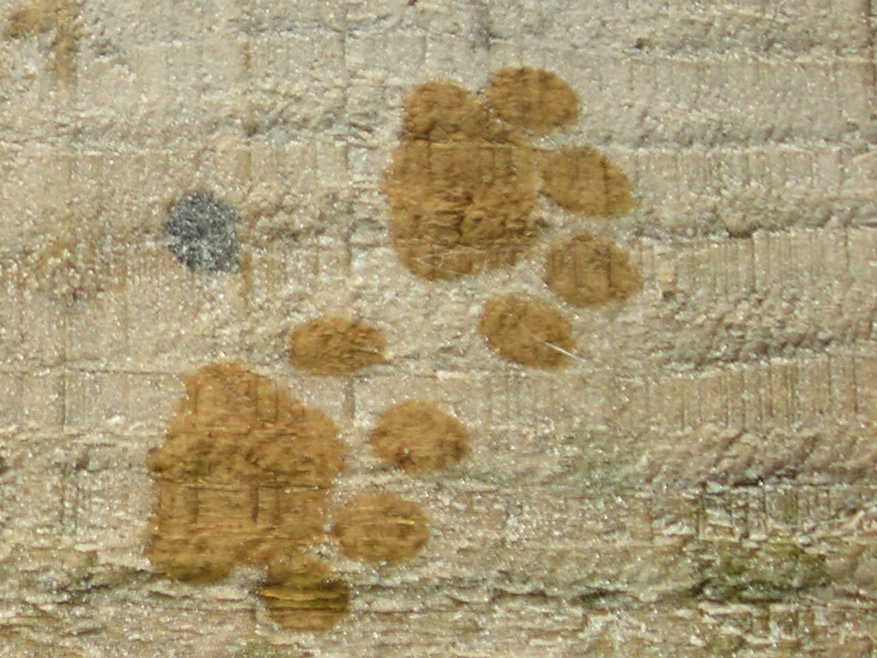 [RSCN0460.JPG]
