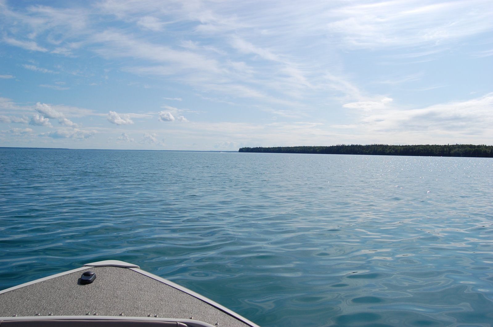 [DSC_0146.JPG]