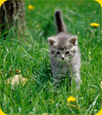 In Cat Timp Se Poate Lua Proba De Scaun In Cat Timp Se Poate Lua Proba De Scaun