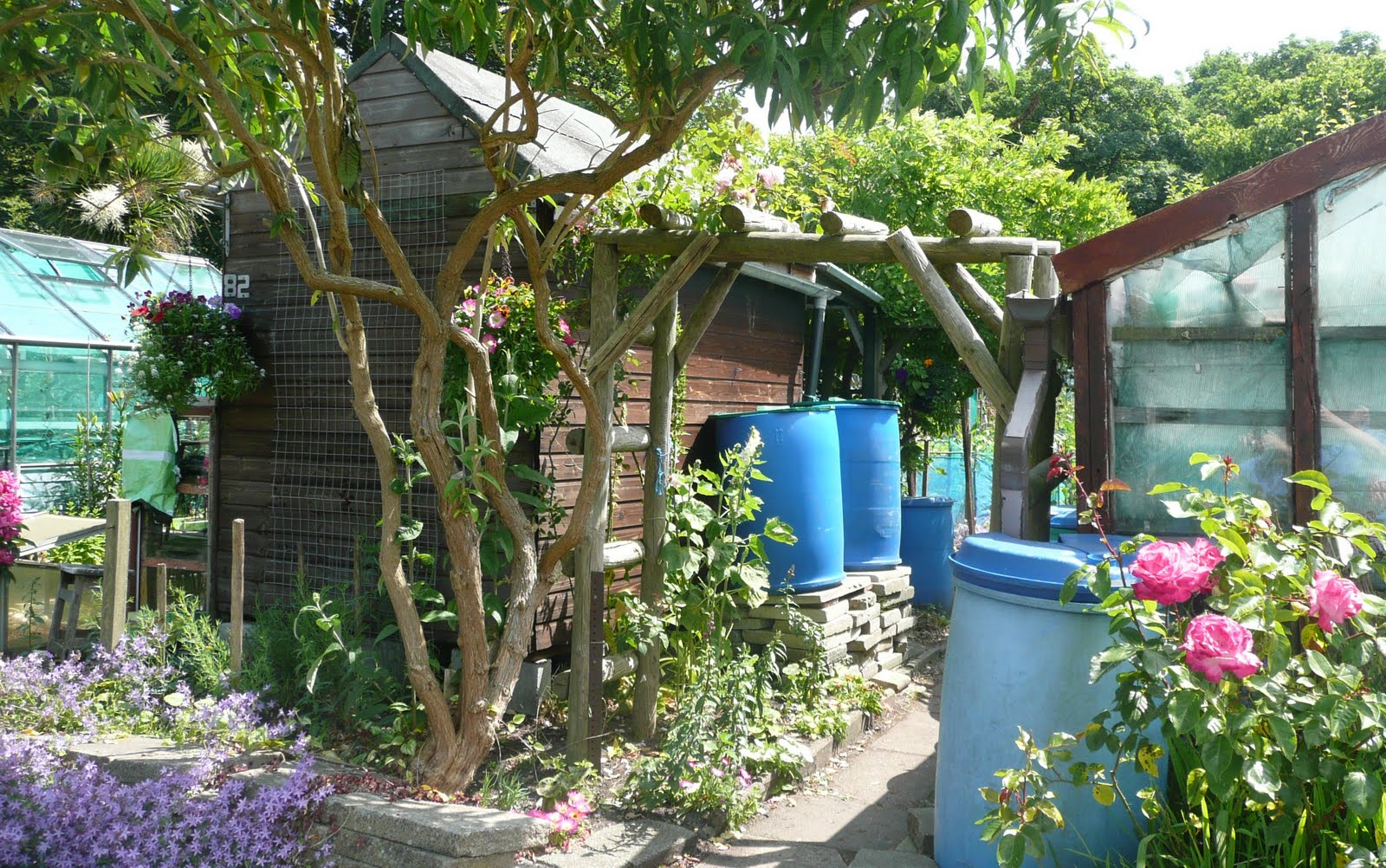 Moors and More Liverpool Open Gardens Sefton Park Allotments