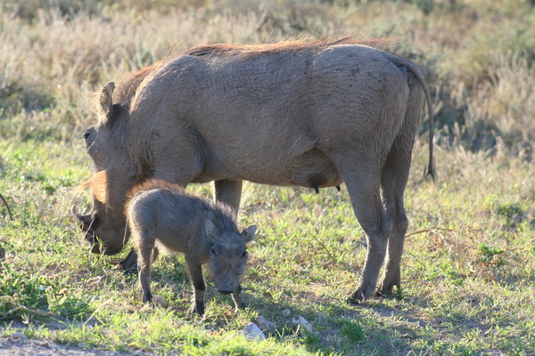 [IMG_0251_resize.JPG]