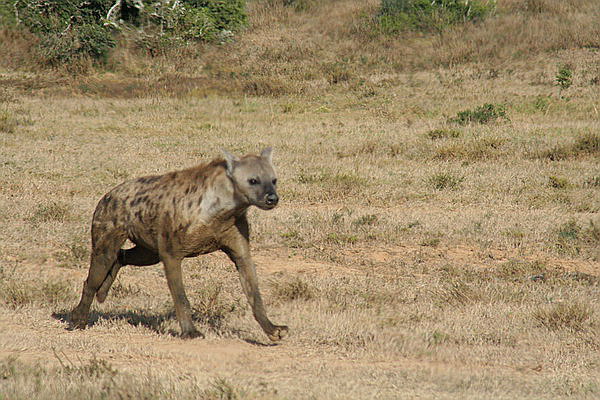 [IMG_0296_resize.jpg]