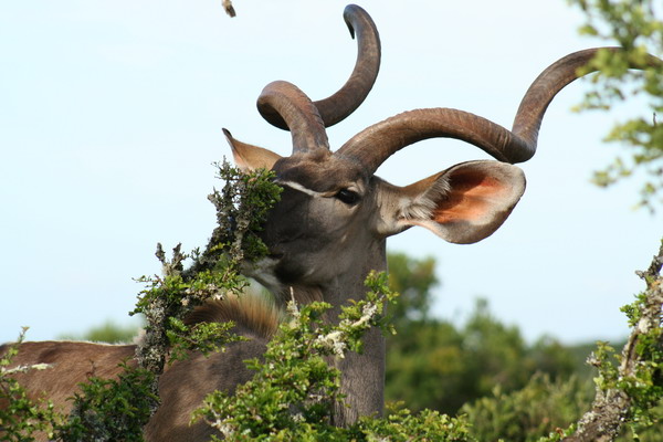 [IMG_0314_resize.JPG]