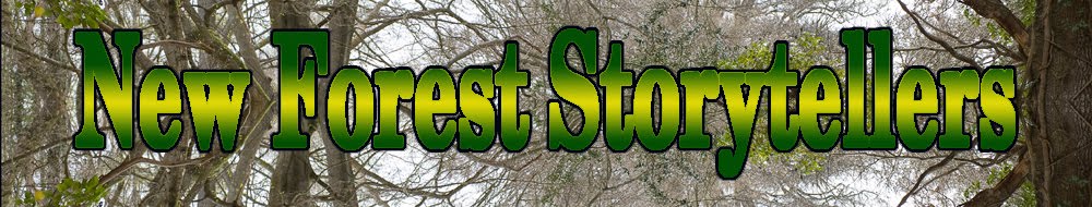 New Forest Storytellers