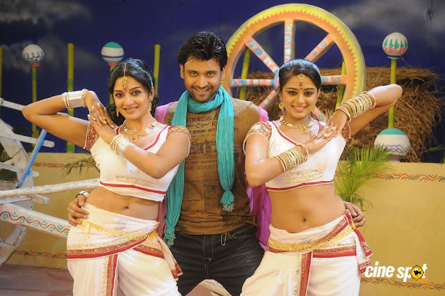 Priyamani Hot in Telugu Movie Raj