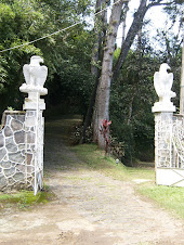 panorámica-Gurú Carlos García en el Ashram de Coatepec (25 dic 08)