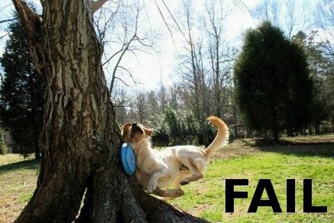 [Fail01.bmp]