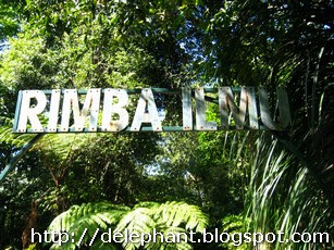 Rimba Ilmu