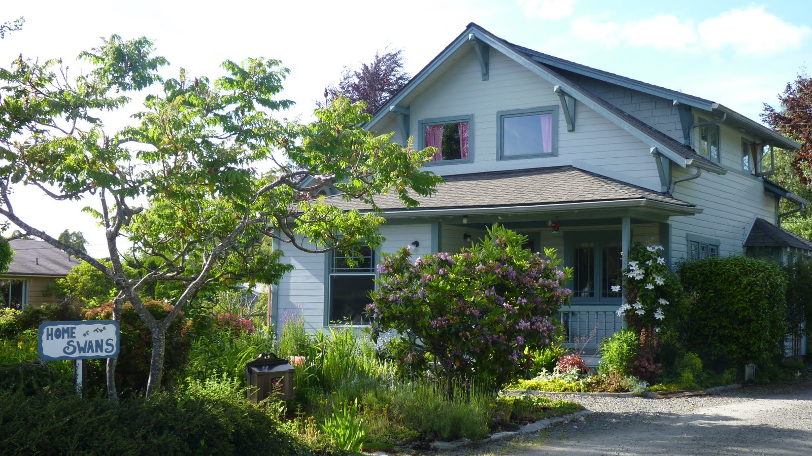 Travels with Larry and Marsha Sasha Reports from Forks, Washington