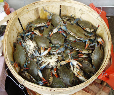bucket+of+crabs.jpg