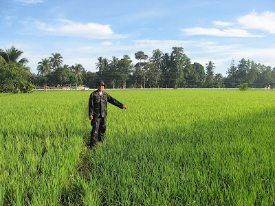 Jaro Leyte Rice Farm