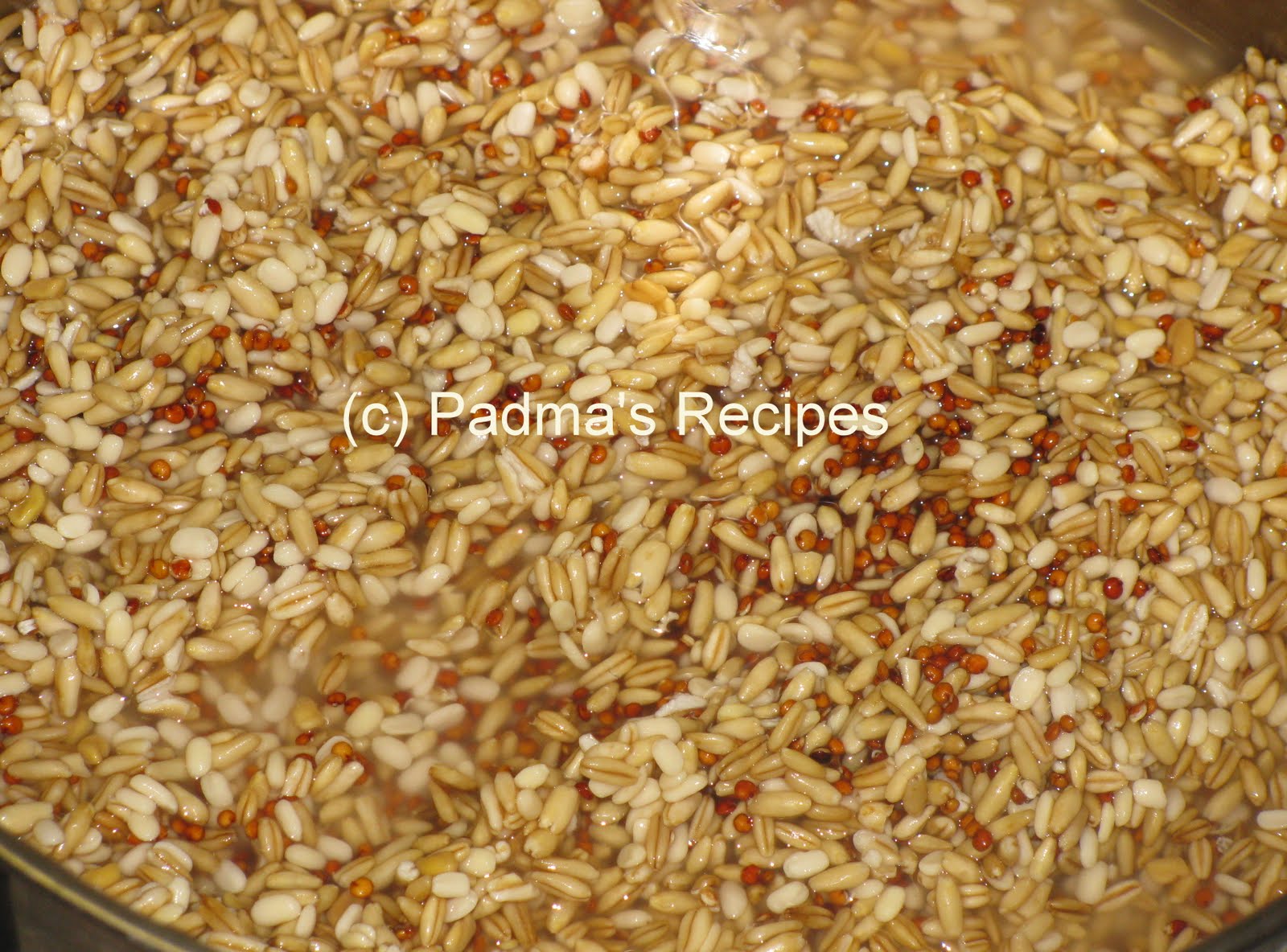 Padma's Recipes WHOLE OATS AND RED QUINOA DOSA