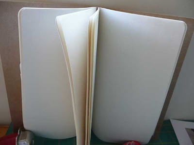 lank pages of a ook. blank pages in book. lank pages of a ook.
