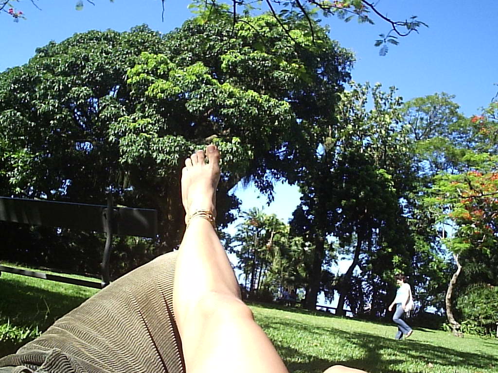 [P2290089.JPG]