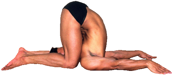 Bikram+Yoga+Man+2.gif