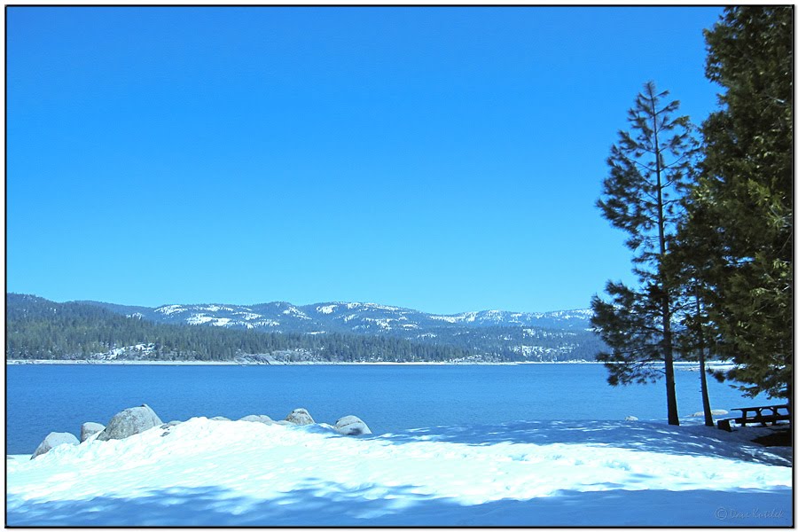 Dave's Birding Blog Sierra National Forest Shaver Lake