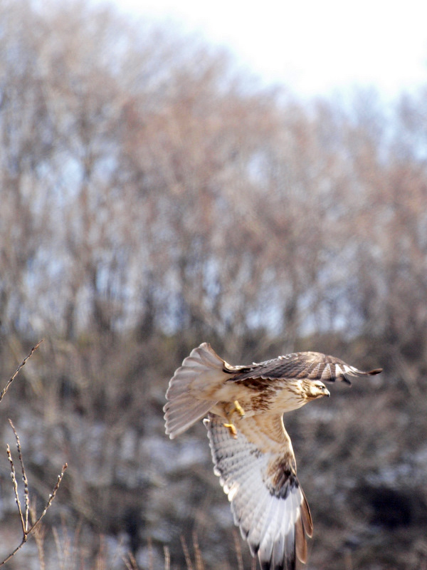 [P1094554-1.JPG]