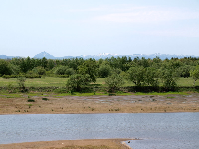 [P5263555.JPG]