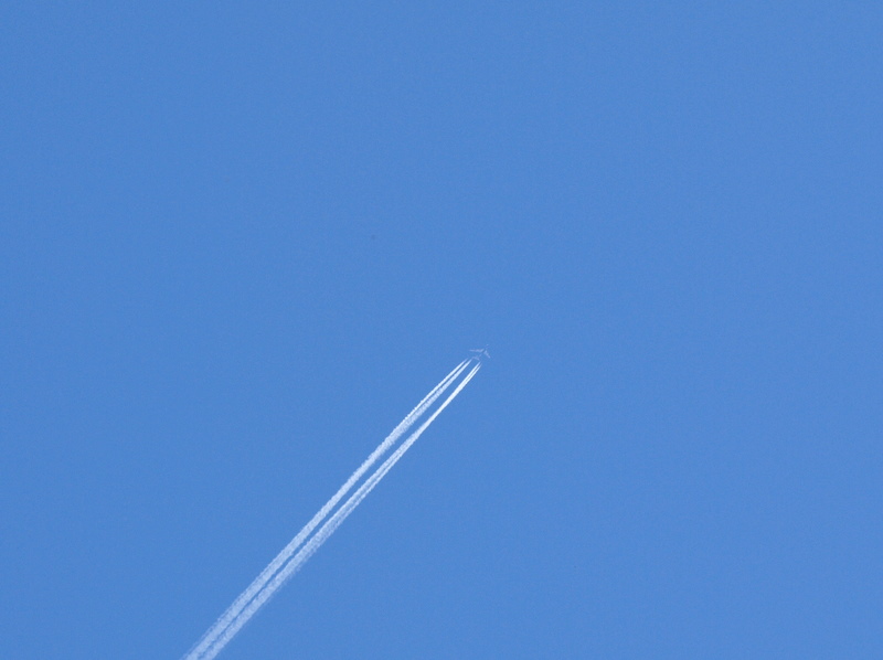 [P5212499.JPG]