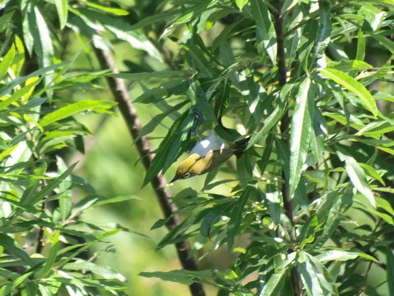 [P6241012.JPG]