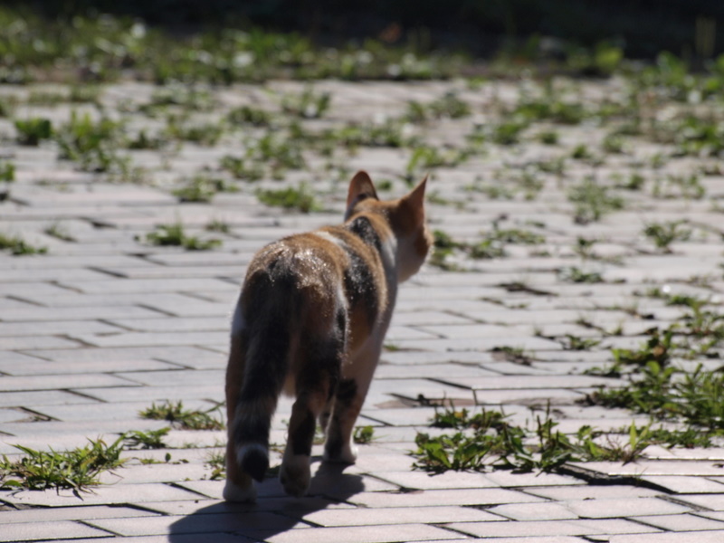 [P9016201.JPG]