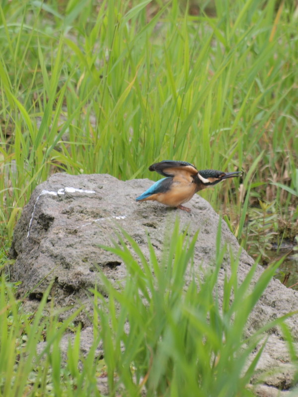 [P9026779.JPG]