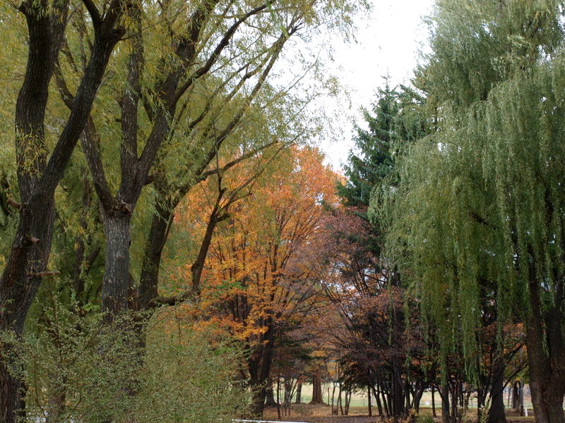 [PB054193.JPG]