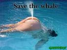 Salven a las Ballenas