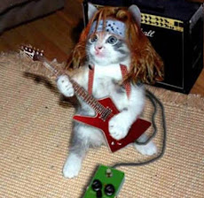 Cat-Rock!!!