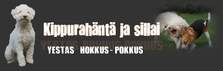 Kippurahäntä ja sillai