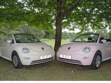 [Cream+and+Pink+Beetle+for+Hire.jpg]