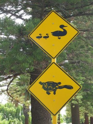funny signs around the world. funny signs around world. funny signs around the world.