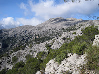 Massanella Massanella