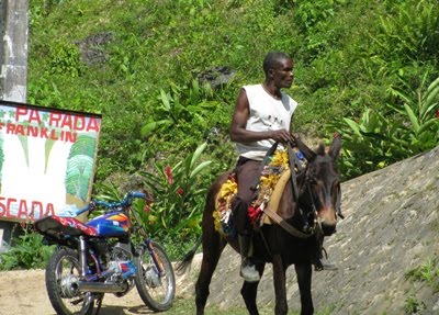 [Samana_man_on_mule_1.JPG]