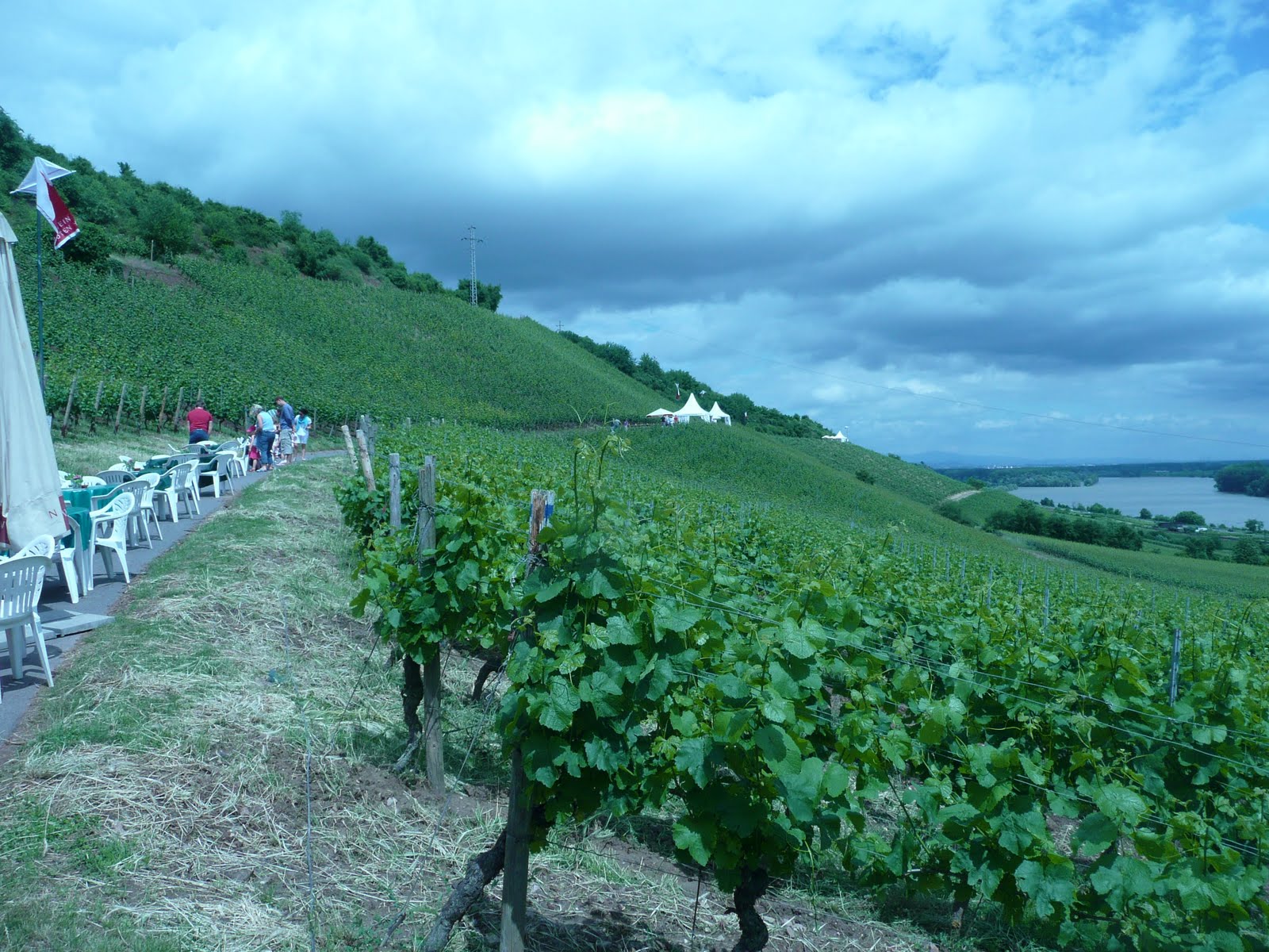 Schiller Wine The Wines Of The Roter Hang Red Slope In Nierstein Rheinhessen Germany