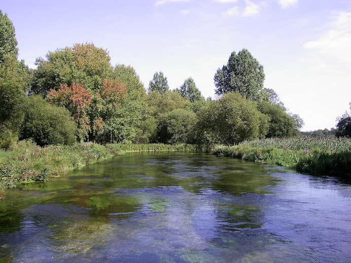 The River Itchen near Eastleigh