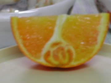 Buah Limau