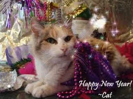 FASHION SHOW: New Year Cat Wallpapers
