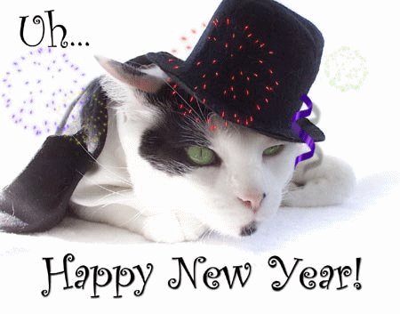  Year Desktop Wallpaper on New Year Wallpapers  New Year Cat Wallpapers