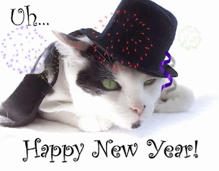 New Year Cat Wallpapers