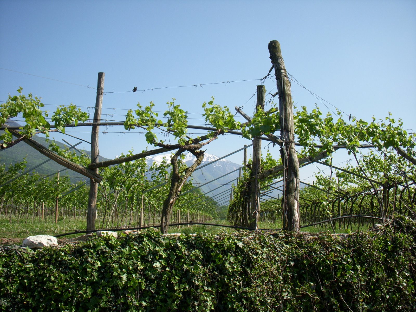 [DSCN3240.JPG]