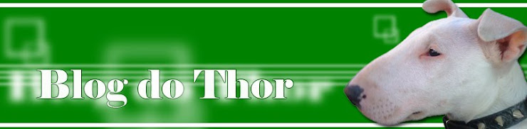 Diário do Thor, um Bull Terrier