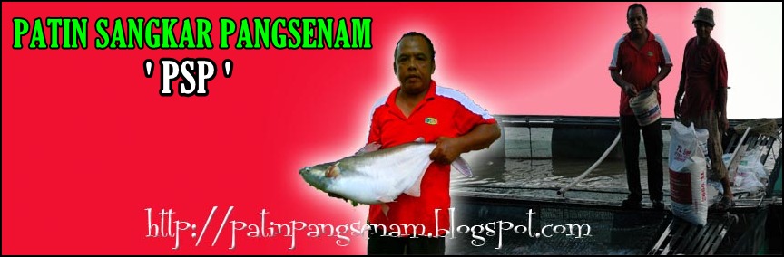 PATIN SANGKAR PANGSENAM