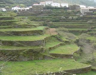 [boavida.JPG]