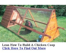 Build Your Own Coop