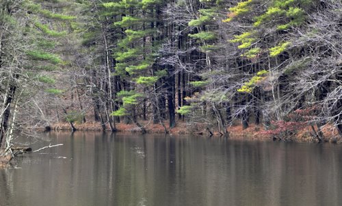 [nashua_river.jpg]
